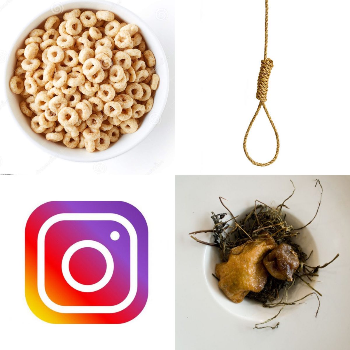 The Most Important Meal